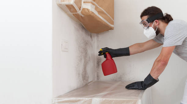Professional Basement Mold Remediation technician working in Lyons, NJ